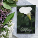 Search for white calla lily cards Floral