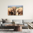 Search for cuddling art Wildlife