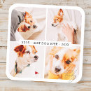Search for dog memorial stickers Celebration of life