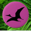 Search for dinosaur badges Birthday