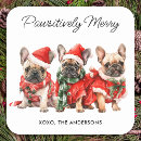 Search for pawsitivity stickers Pet