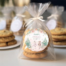 Search for winter ballet stickers Ballerina