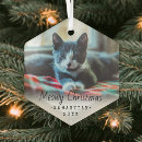 Search for cute animals christmas tree decorations Funny