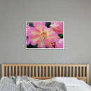 Search for rhododendron posters Botanical