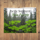 Search for rain forests Quinault rain forest