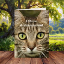 Search for funny cat fathers day cards Pet