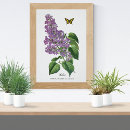 Search for vintage lilacs posters Lavender