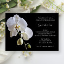 Search for white orchid bridal shower invitations Elegant