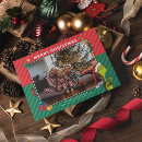 Search for grinch photo seasonal cards Holiday greeting