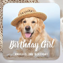 Search for minimalist cat stickers Birthday