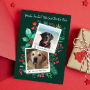 Search for list christmas cards Dog