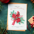 Search for red cardinal bird christmas cards Green