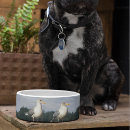 Search for mariners pet supplies Animals