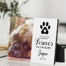 Search for pet portraits Keepsake