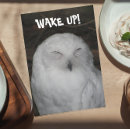 Search for owl photo cards Funny