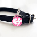 Search for dog tags Pink
