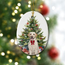Search for yellow labrador christmas tree decorations Animal