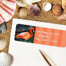 Search for add picture return address labels Photography