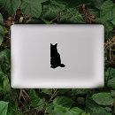 Search for hand drawn cats stickers Kitten