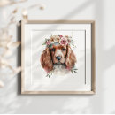 Search for irish setter posters Animal