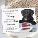 Search for lab puppy invitations Pawty