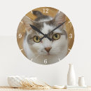 Search for dog clocks cat