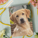 Search for for parents valentines day cards For him