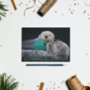 Search for marine christmas cards Cute
