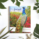 Search for peacock gifts Colorful