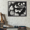Search for black dahlia posters Dahlias