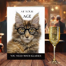 Search for funny cat cards Cute