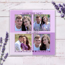 Search for lilac magnets Engagement