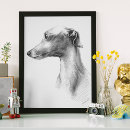Search for whippet posters Cute