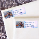 Search for marine return address labels Sea turtle