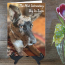 Search for cattle dog birthday cards Pet