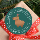 Search for funny reindeer stickers Humour