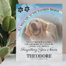 Search for pet gifts Rainbow bridge