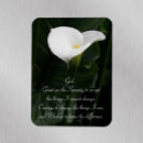 Search for calla lily magnets White flowers