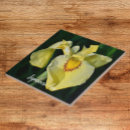Search for yellow iris Floral
