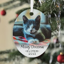 Search for meowy christmas tree decorations Cats