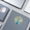Search for plumage stickers Colourful