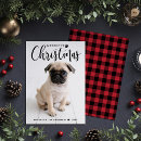 Search for puppy 1st christmas cards Modern