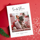 Search for santa paws cards Cat