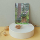 Search for floral retirement cards Botanical