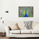 Search for blue feathers posters Peafowl