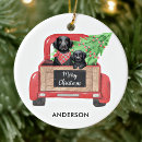 Search for black lab christmas tree decorations Labrador retriever