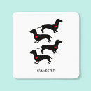 Search for sausage stickers Pet