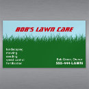 Search for blue grass Outdoors