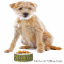 Search for creative pet supplies Colours