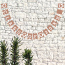 Search for class reunion party supplies Graduate